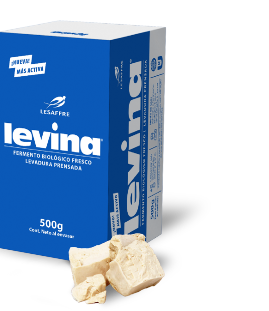 NuevaLevina2